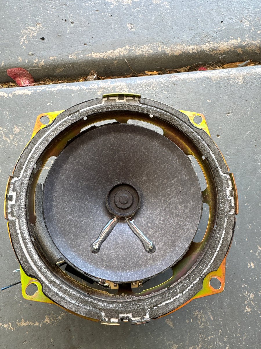 Splat Fennec 🔜 FWA tweet media