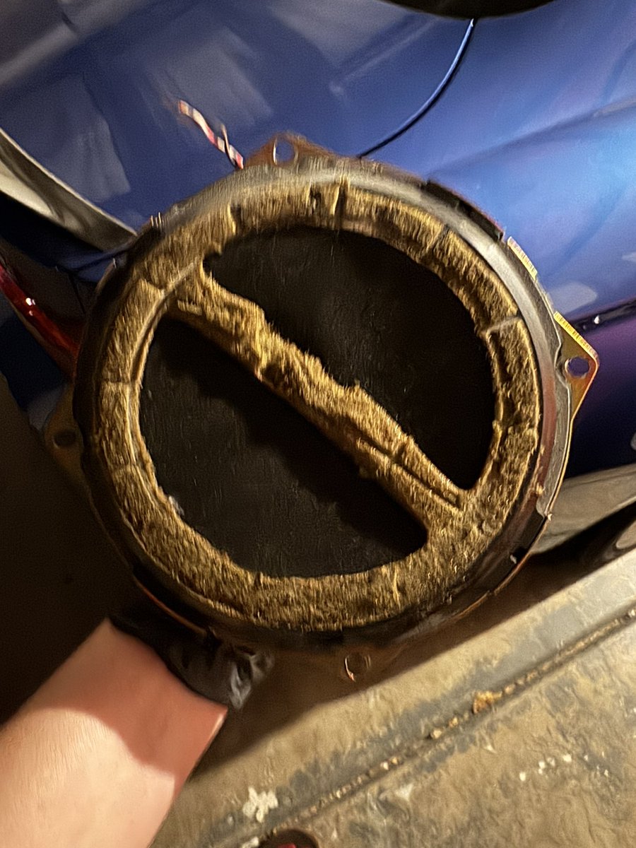 Splat Fennec 🔜 FWA tweet media