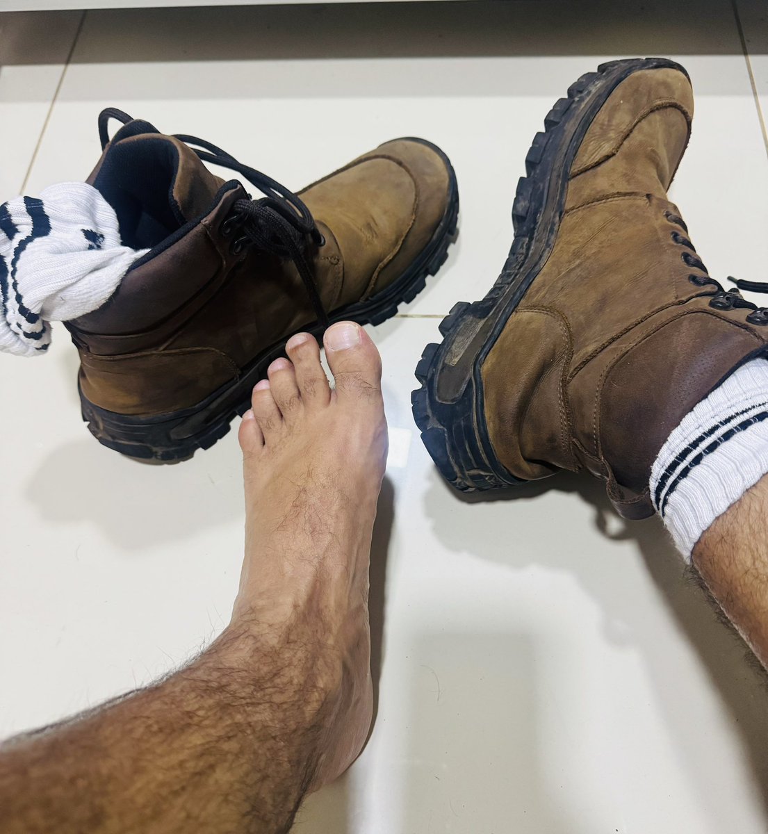 Dragon bear tweet media