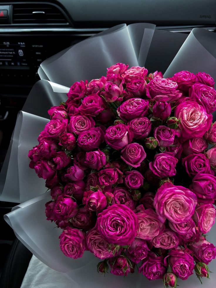 Bloomify tweet media