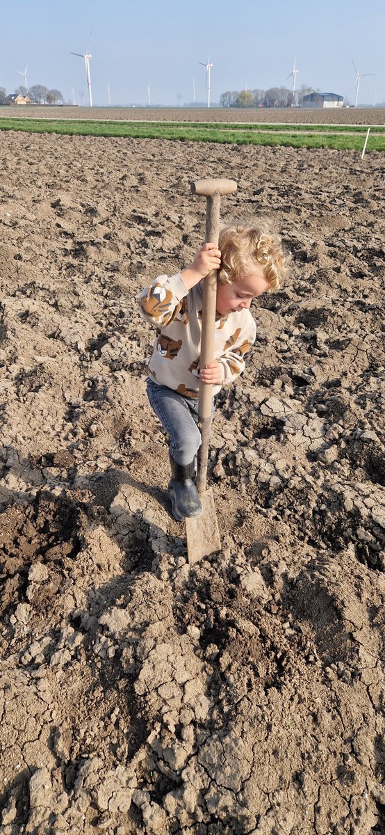 Joost Rijk tweet media