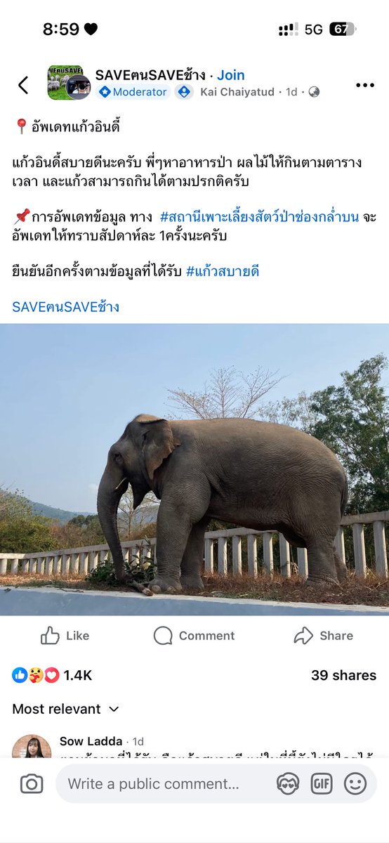 Justice for หูพับ tweet media