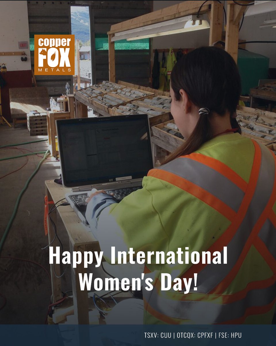 Copper Fox Metals Inc. tweet media