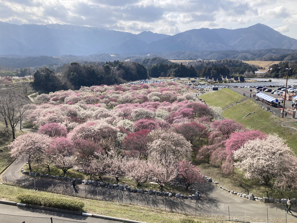 どぶ (@mizotsu0305) on Twitter photo 