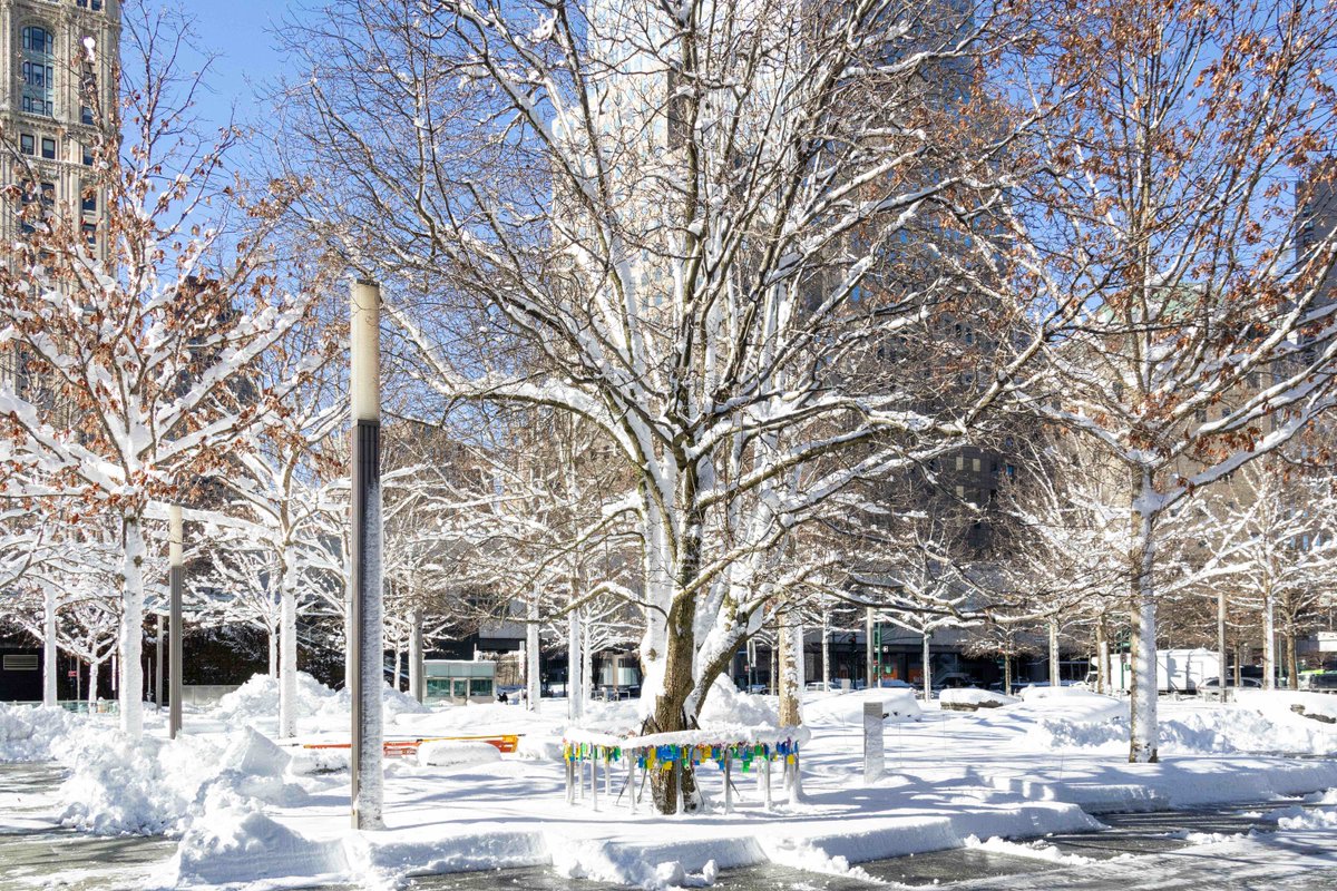 World Trade Center tweet media