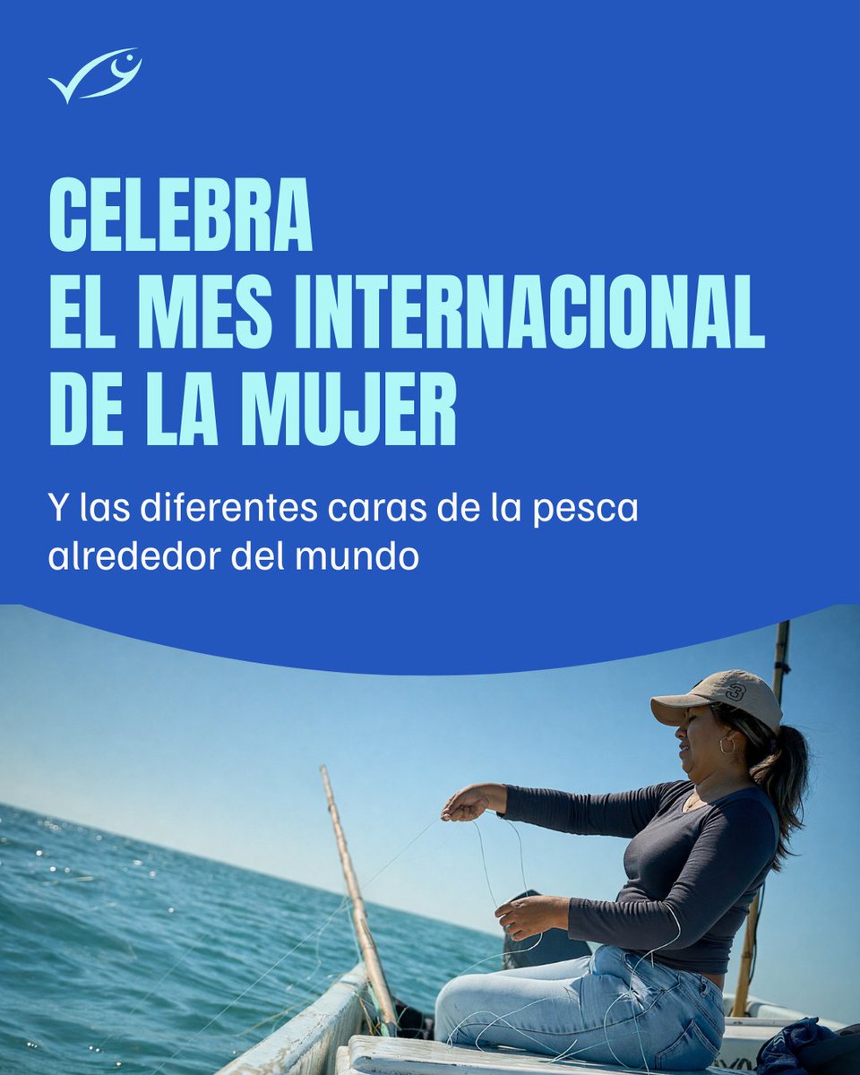 MSC Latinoamérica tweet media