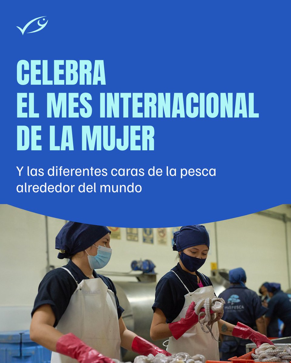 MSC Latinoamérica tweet media