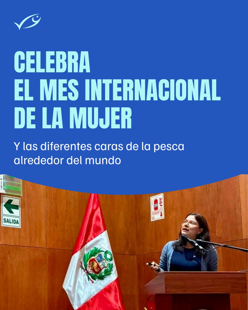 MSC Latinoamérica tweet media