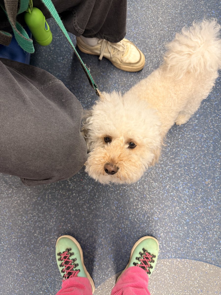 принцесса всего tweet media