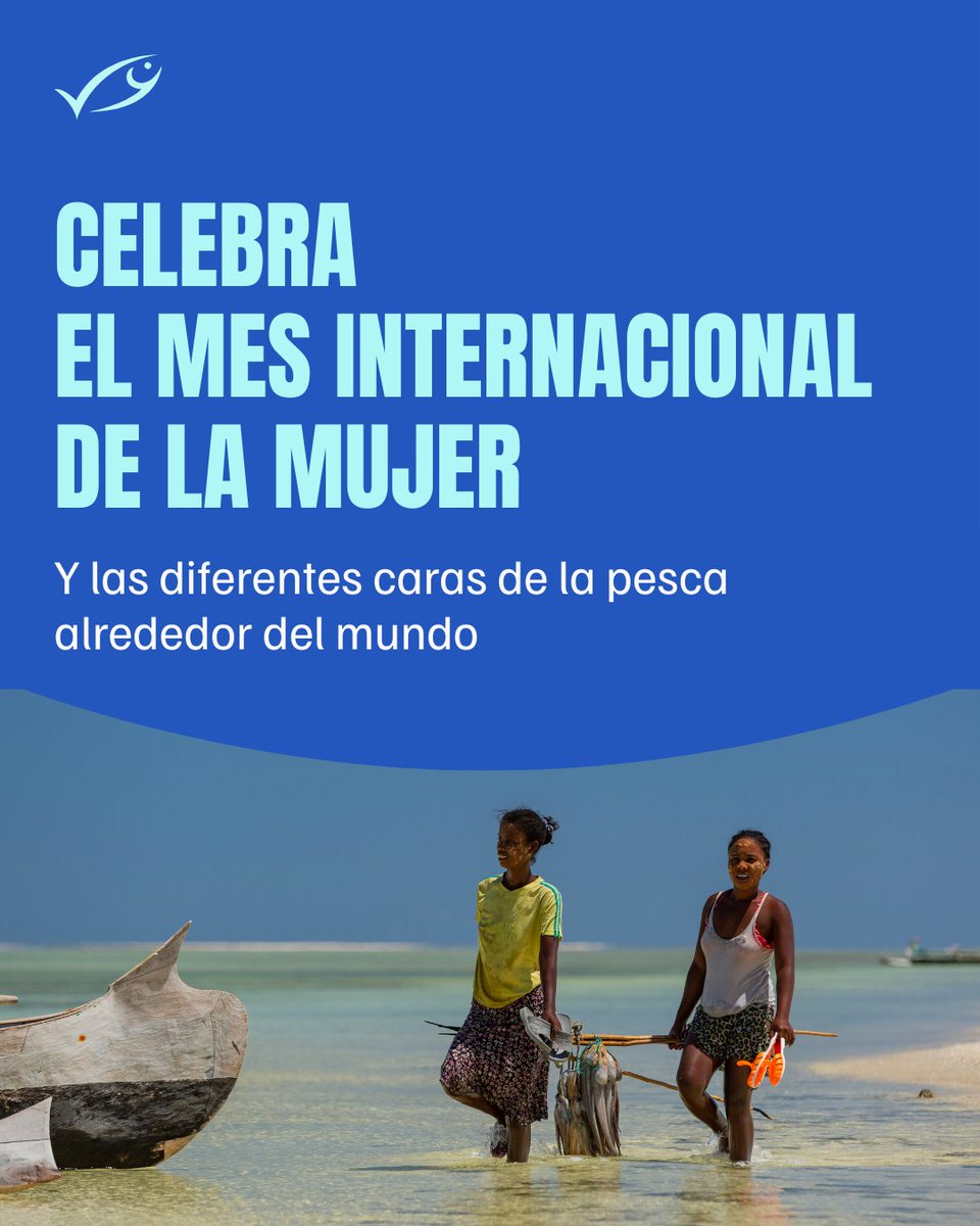 MSC Latinoamérica tweet media
