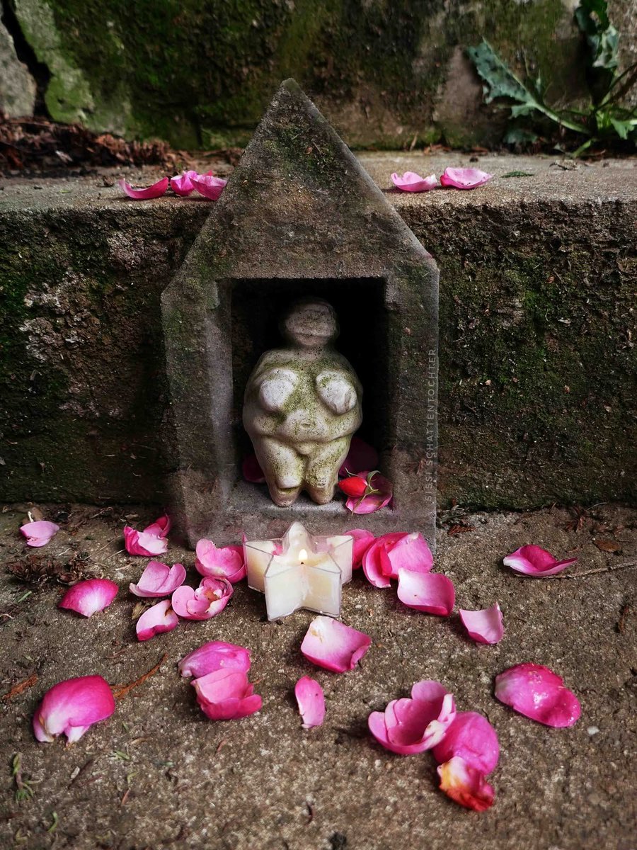 𝖈𝖍𝖆𝖇𝖆𝖟𝖎𝖙𝖊 tweet media