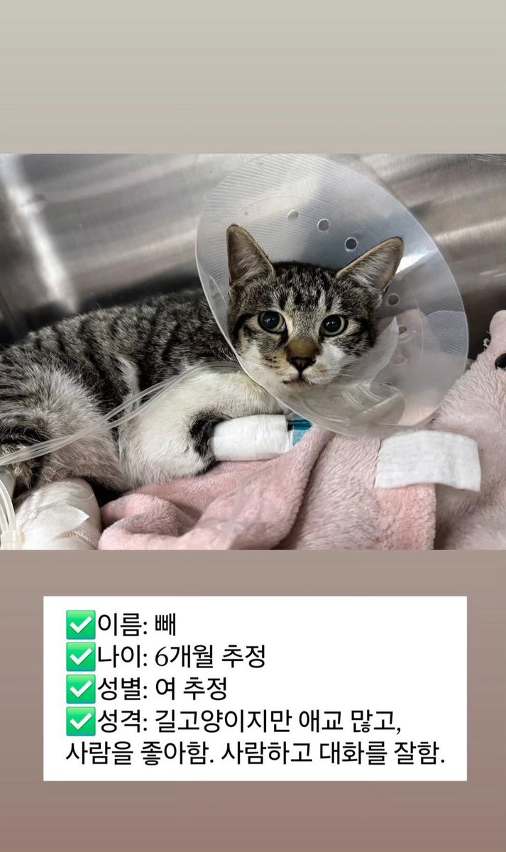 람 tweet media
