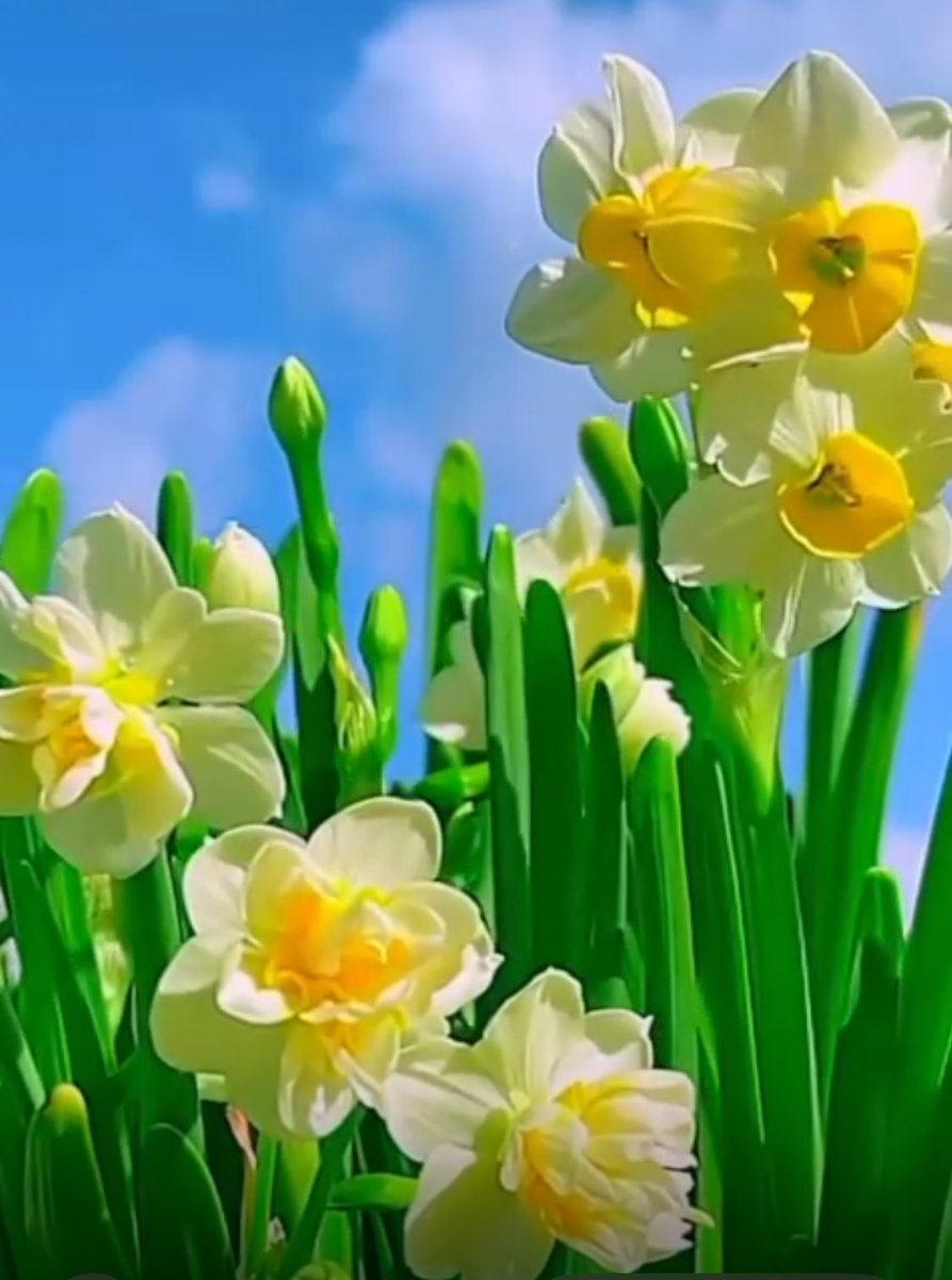 Mehmet ERDOĞAN tweet media