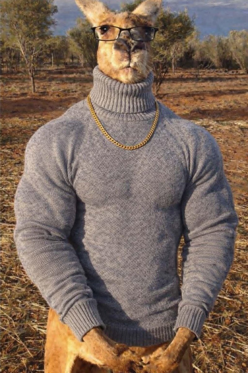 What happened, <a href="/Diegolopesmma/">Diego Lopes 🇧🇷🇲🇽</a> and <a href="/AlexaGrasso/">alexa grasso</a> are not following each other