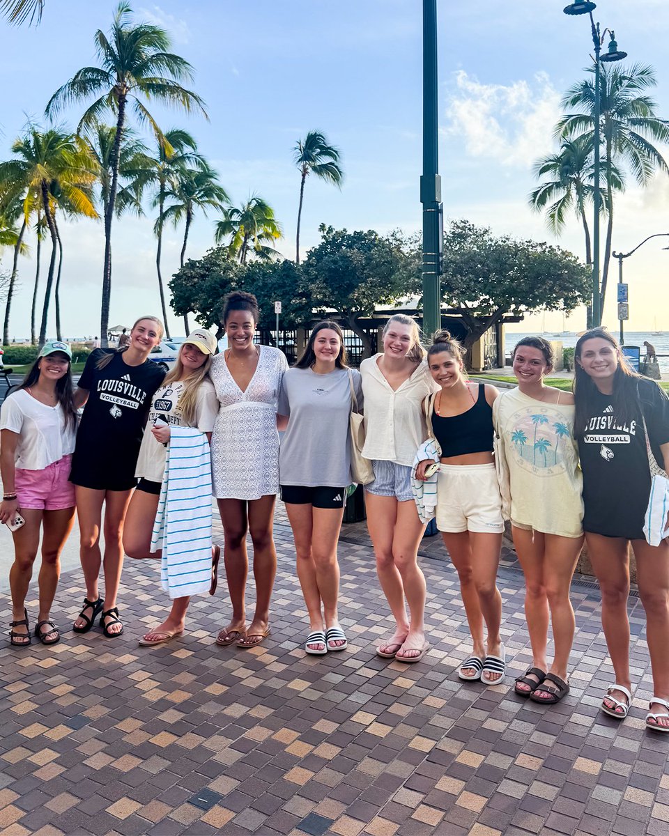 Louisville Volleyball tweet media