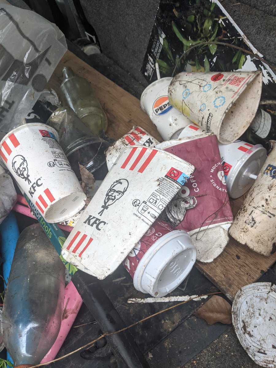 EricTorrington's tweet photo. The second bag for @KeepBritainTidy #BigSpringClean litter surveying between #Coaley &amp; #Eastington via lanes. 380 items of which 33 where #drivethru with @KFC coming in tops today miles from nearest outlet. https://t.co/v2kw9KoWxa