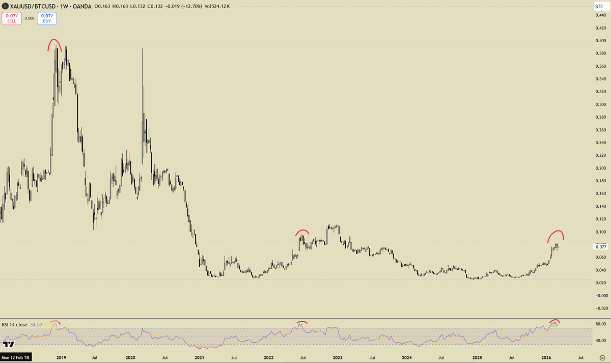 DidaBets tweet media