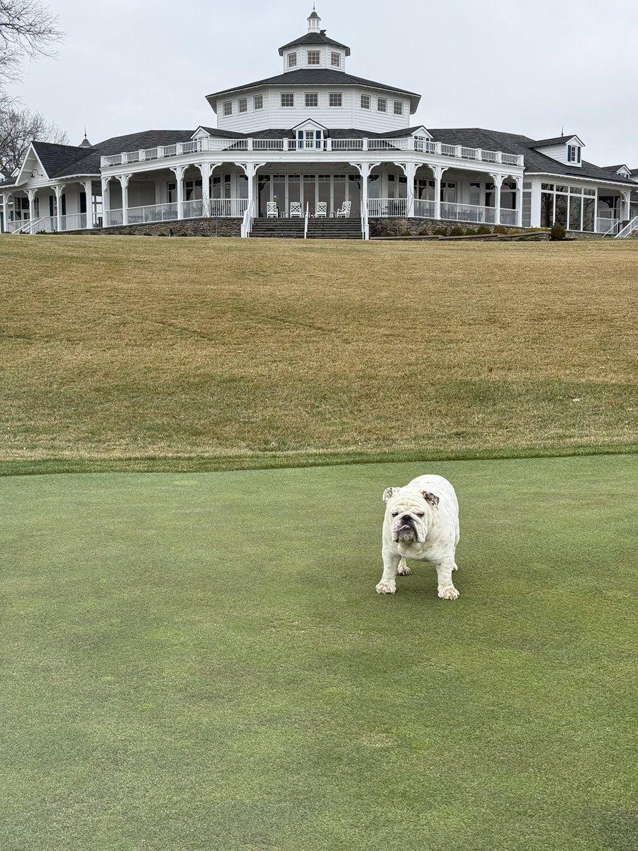 josh pope tweet media