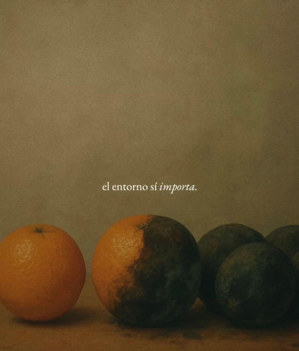 Dilo con dibujos tweet media