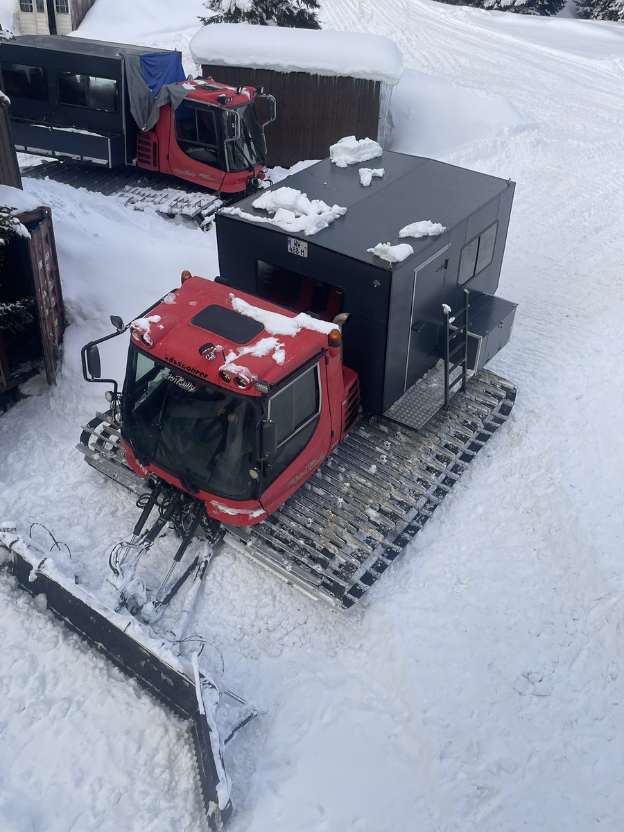 Dominic Bliss tweet media