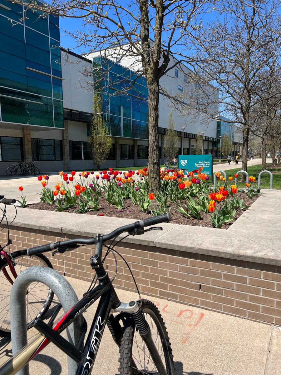 Wayne State University tweet media