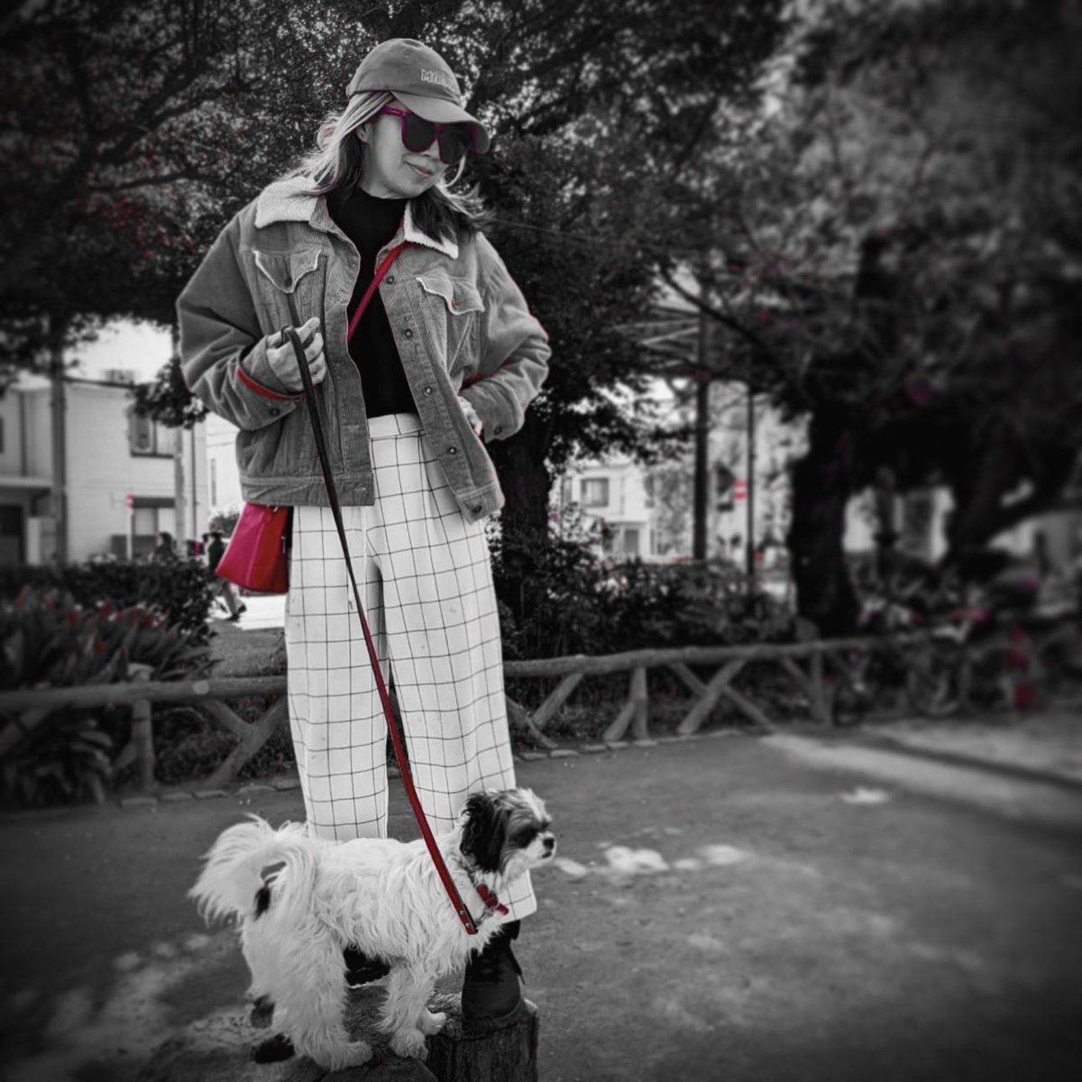花粉症は今のところギリギリセーフ！
すでにアウトな皆さま、どうぞお大事に！🤧

My hay fever is still in the "safe zone" for now. Sending love to everyone already suffering!