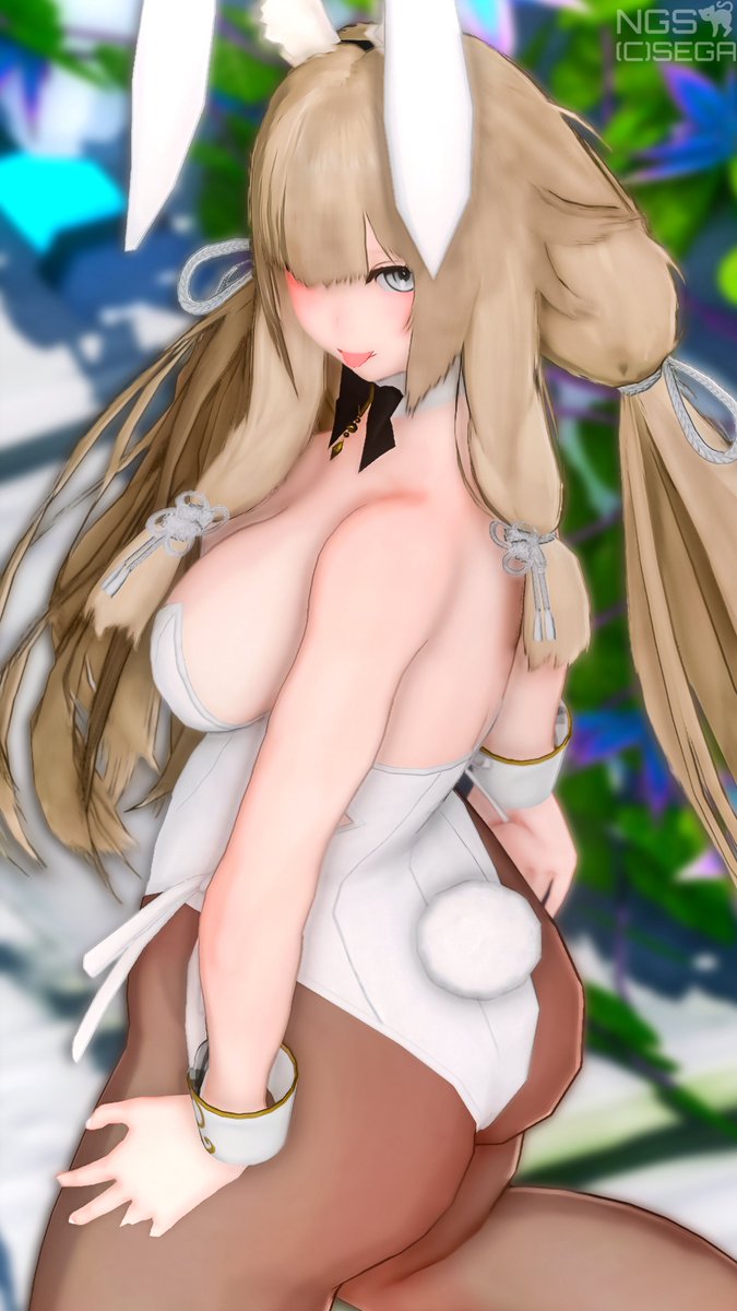 ほわいとらびっと🐰