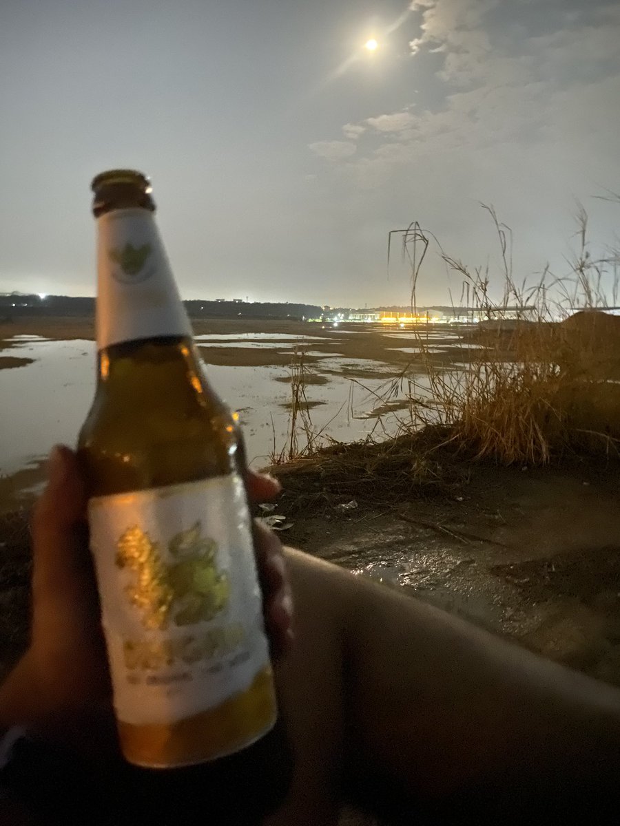 Thebrave tweet media