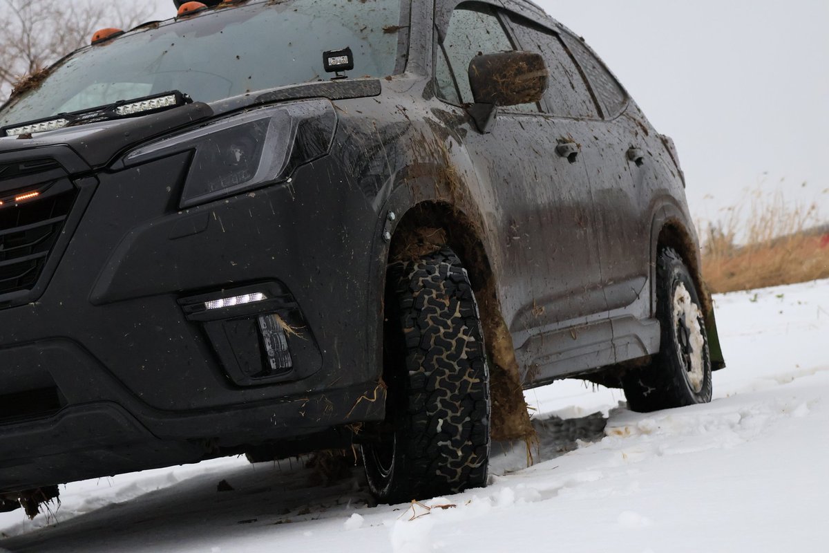 hiro____ne tweet media