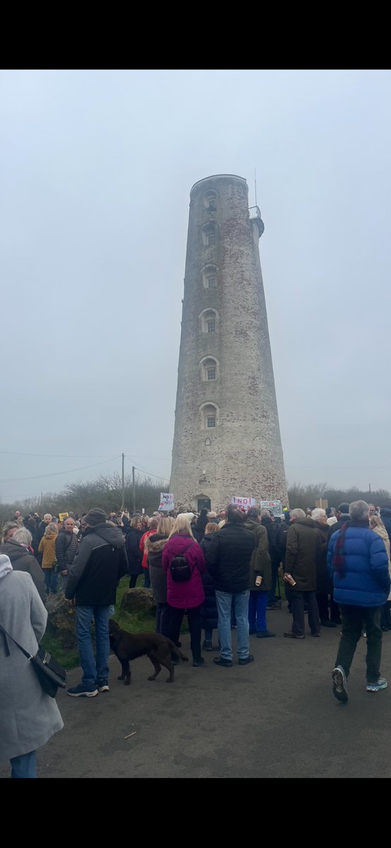 Ali 💜 tweet media