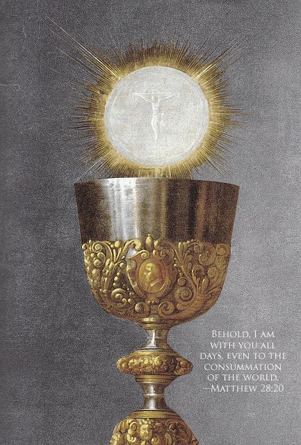 MariaMoonlight_'s tweet photo. Como é bom ir à missa.
O milagre eucarístico é tão impressionante e bonito.
E eu posso recebê-lo mesmo não sendo perfeita. Deus é maravilhoso. https://t.co/vSwQX9bAl6