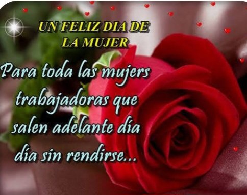 La Dirección de la Empresa de Comercio y Gastronomía,hace extensiva las felicitaciones a todas las mujeres y en especial a las Comerciales y Gastronómicas.
