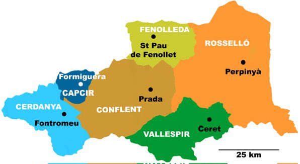 Antoni Gelonch tweet media