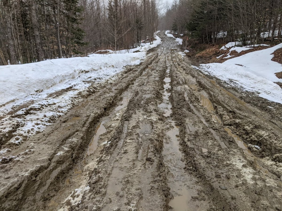 Granite Stater 🇺🇸 tweet media