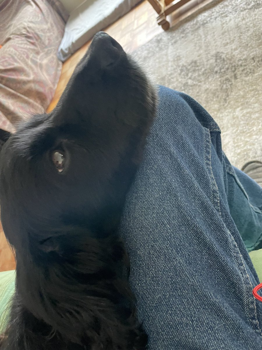 Albertspanners Dad tweet media