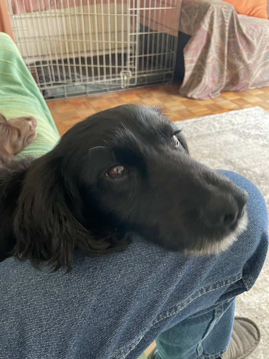 Albertspanners Dad tweet media