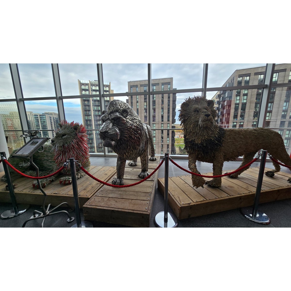 FLIRSH FLAVIA OKETCHO tweet media