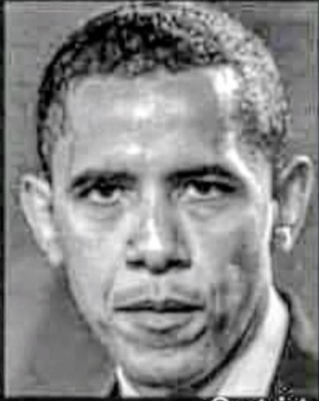 usual scum bags bashing America and Trump, while Bamy flits from one million dollar house to 2nd &amp; 3rtd.