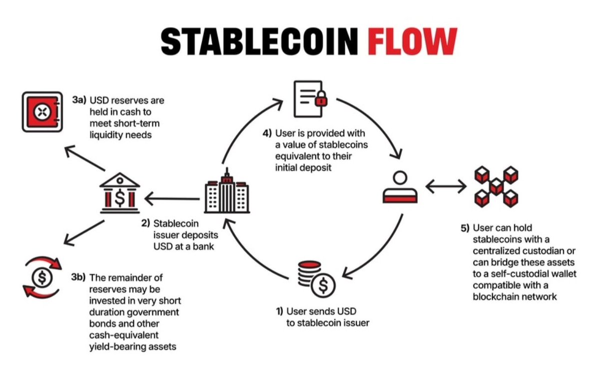 𝖀𝖈𝖆𝖓 tweet media