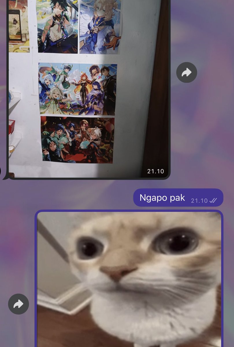 WKWKWK random bpkku😭