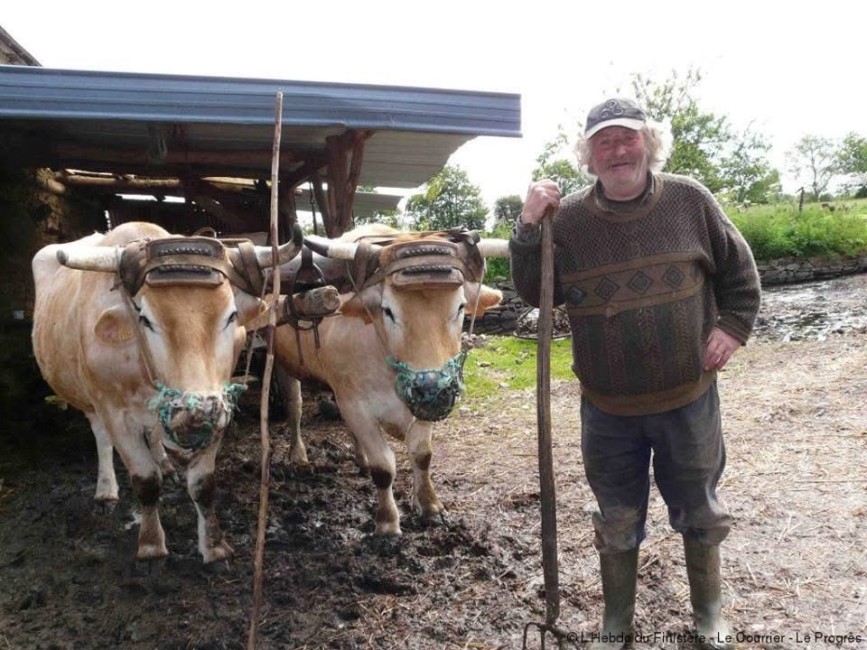 veritebeaute's tweet photo. Contrôle fiscal.

La visite inopinée d'un Contrôleur des Impôts, chez un paysan, car il apparaîtrait qu'il ne paie pas son personnel correctement … !!!

L'inspecteur : "J'aimerais voir la liste de vos salariés ainsi que leurs fiches de paye ! 
- "Bien sûr", dit le fermier, qui l'entraîne dans la pièce qui lui sert de bureau et pose devant lui un petit classeur. 
"D'abord il y a le garçon de ferme : il travaille 35 heures par semaine et je le paie 1 200 Euros par mois plus le logement et le couvert". 
- "Ensuite il y a la cuisinière : elle travaille 30 heures par semaine et je lui donne 1 100 euros par mois plus logement et couvert". 
- "Enfin, il y a le Simplet"... 
- "Le Simplet " ? dit le Contrôleur d'un air interrogateur. 
- "Oui, il travaille 18 heures par jour c'est à dire 126 heures par semaine il accomplit 80% de tous les travaux de la ferme. 
Je lui donne 200 Euros par mois et c'est lui qui paie la nourriture et le logement. 
Le Samedi soir je lui achète une bouteille de Whisky et à l'occasion, il dort avec ma femme !" 
"Aaaaahhh, bien bien bien… !!!", dit l'Inspecteur en se frottant les mains, c'est LUI que je veux voir !

-Le fermier : "Il est en face de toi, p'tit con ,c'est MOI…!! ��
