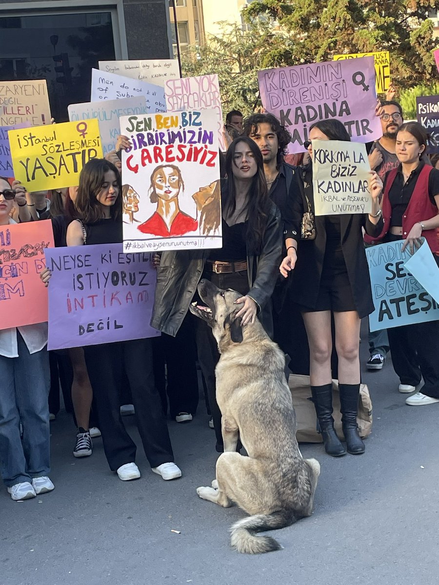 “Kurtuluş yok tek başına ya hep beraber ya hiç birimiz”  sözünün karşılığı burda 👇🏻

 #8MartDünyaKadınlarGünü