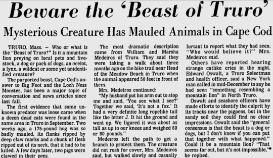 Cryptid Quest tweet media
