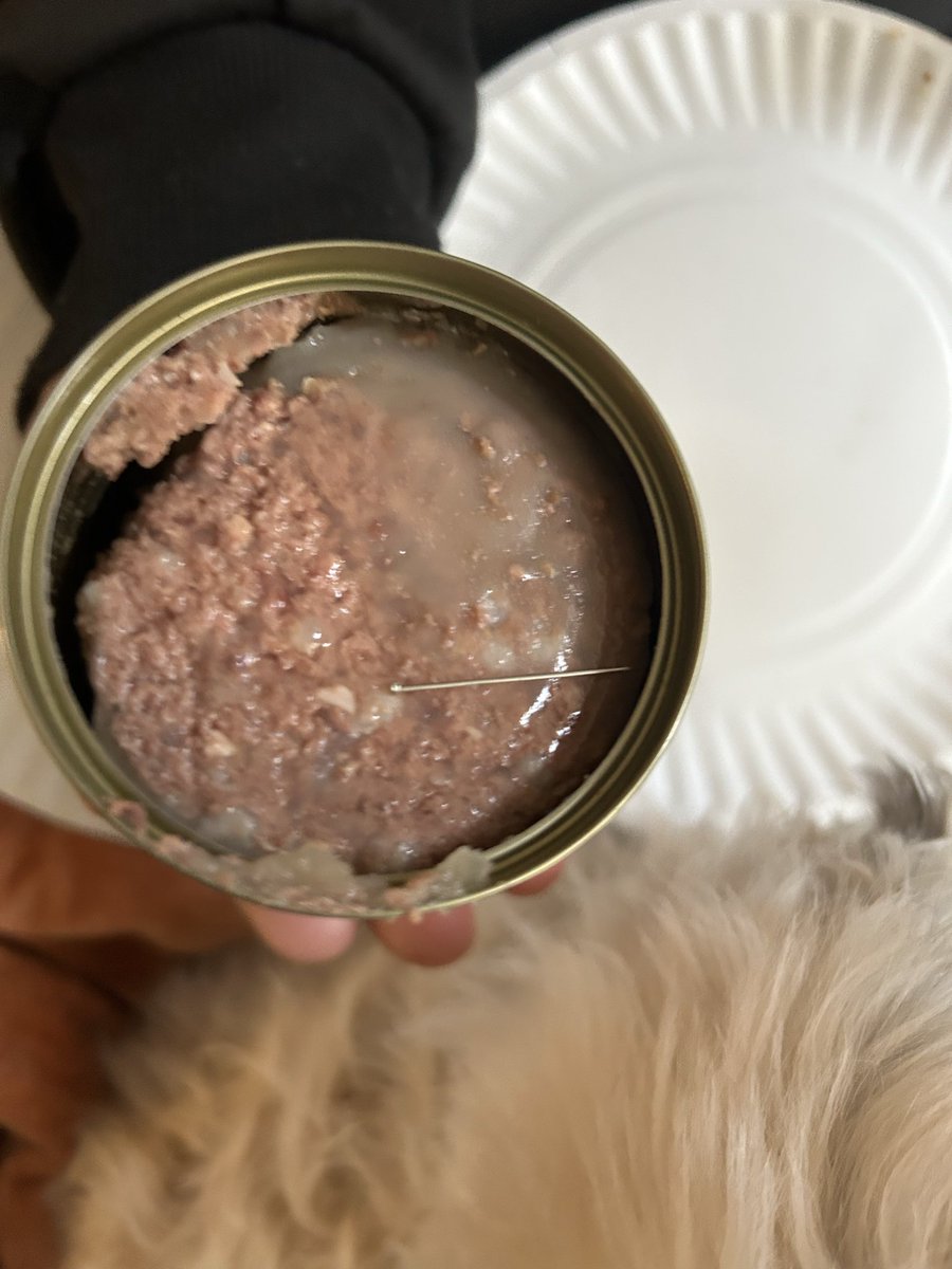 Daisie Cardona tweet media