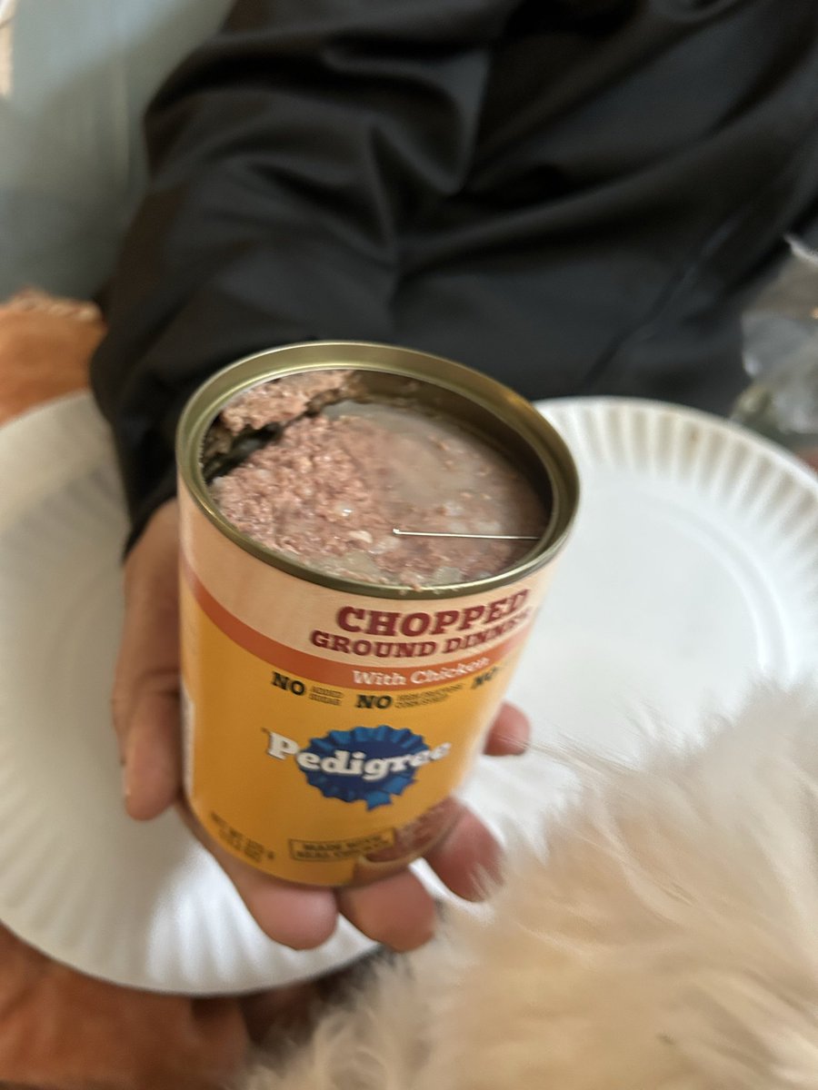 Daisie Cardona tweet media