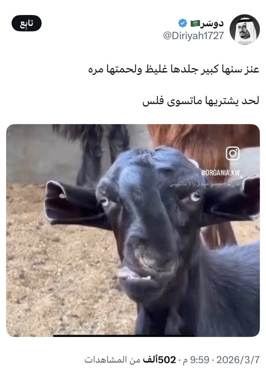 بو حمد 🇦🇪 tweet media