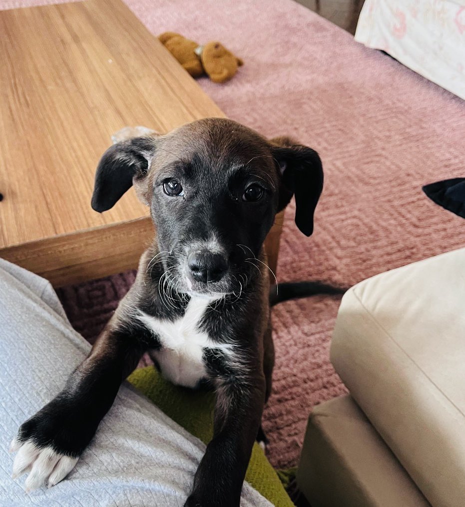 r⋆i⋆r⋆i tweet media