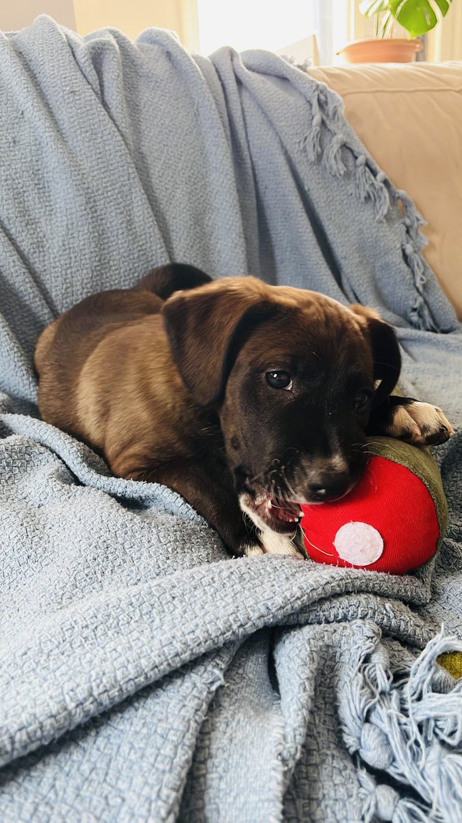 r⋆i⋆r⋆i tweet media