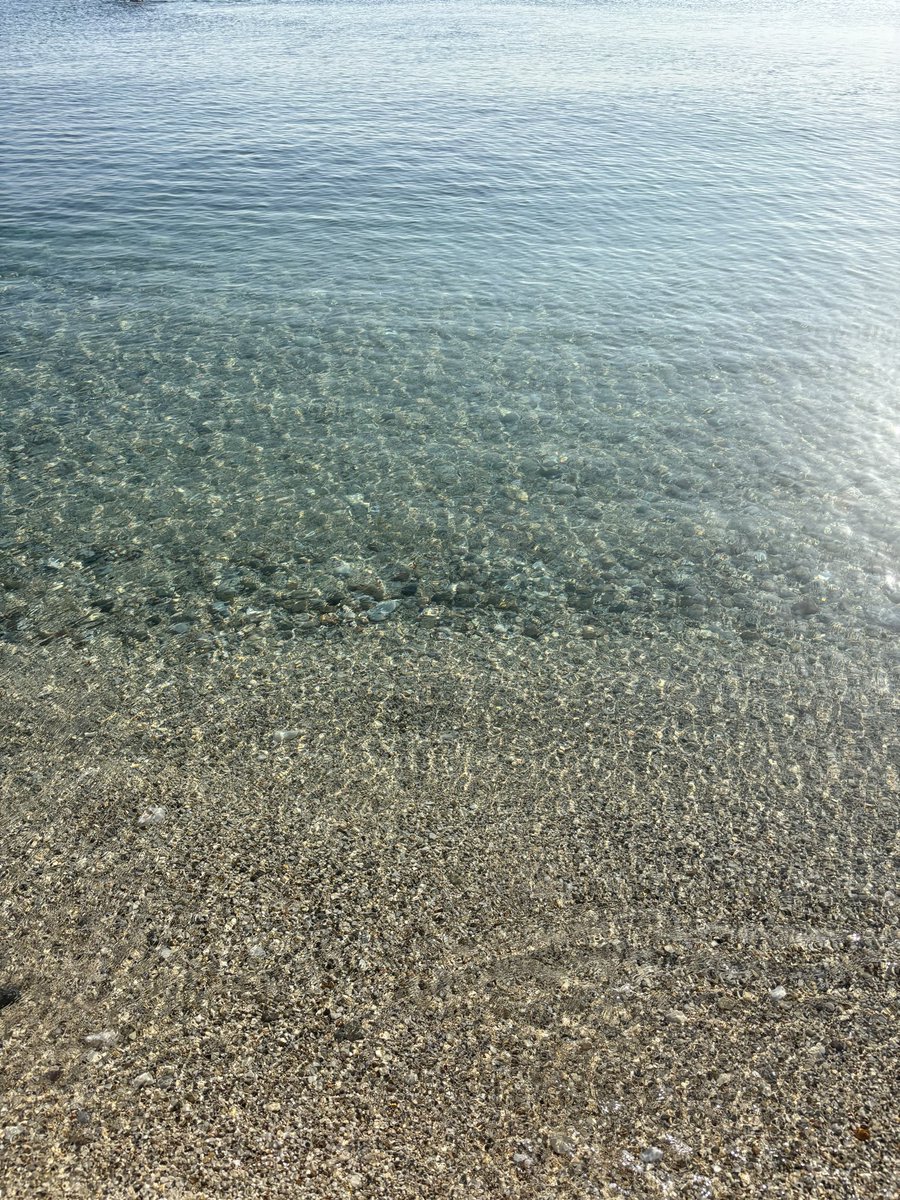 Танцующий хариус tweet media