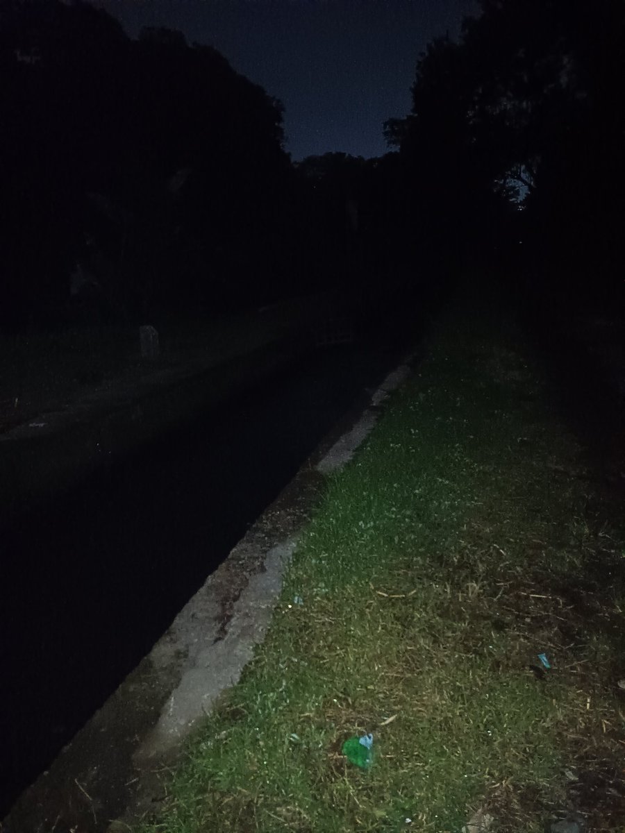 Belantara Lara tweet media